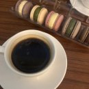 레어마카롱(RARE MACARONS) 티스토리