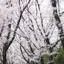 부대목장 이미지