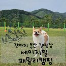 세이지힐 패밀리 캠핑장 이미지