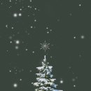 블루밍스튜디오 이미지