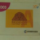 하우스독 이미지