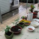 해인어린이집 이미지