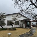 한정식 소나무 앞 이미지