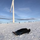 민철목장 이미지