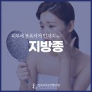 성모라인성형외과의원 네이버블로그