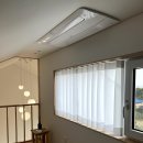 평대이락 이미지