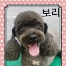 깍까독 이미지