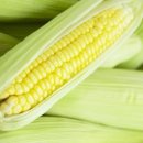 좋구먼 토속음식 이미지