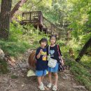 운수천계곡(1) 이미지