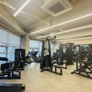 피티올로지 이미지