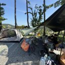 세븐일레븐 울산서생화산점 | 울산 서생 힐링빌리지 캠핑장 &amp; 펜션 2박 3일 방문기