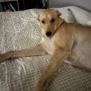 김만식 | '109 어서와