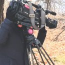 관정마을태양광발전소 이미지