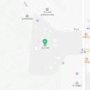 포은로 은행나무길 이미지