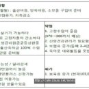 [4인외벌 꽁돈살기] 꽁돈살기 1년결산 이미지