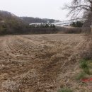 청당산업길 이미지