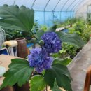 별뜨락하우스 이미지