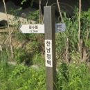 (합자회사)경남여객 | 때 신기로 지나는데 수원에 있는 줄 알았던 경남여객 직행좌석들이 지나가서 경남여객에 대해 알아봤다.