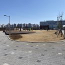 강아지테마미용실 이미지