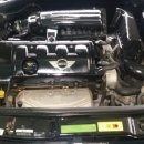 100프로카센타 이미지