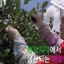 사람이랑 흙이랑 이미지