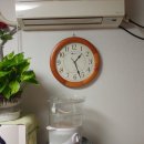 빈센트대성약국 이미지