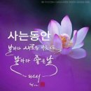 생활철학 구사(九思) 이미지