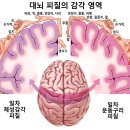 제7장 이미지