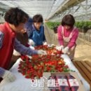 법인다산농가