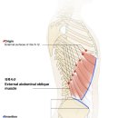CM Fitness 이미지