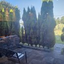 완도LOWA | 완도숙소 호텔형으로 깨끗하고 조용해서 추천해요