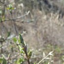 후크선장과 바다낚시 이미지