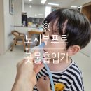 제이디인터내셔널 주식회사 | 노시부 프로 아기 콧물 흡입기 내돈내산 찐후기