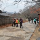 칠산교 이미지