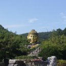 와우정사 이미지