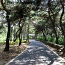 태학산자연휴양림 이미지