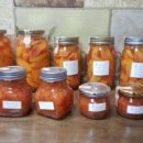 김지현농장 이미지