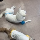 코디잡평생교육원