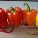 탐진축산 이미지