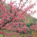 자연속으로 이미지