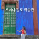 공간여행-2003 | 멕시코시티 여행 프리다칼로 박물관 예약방법부터 관람후기까지