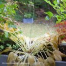 사랑으로 이미지