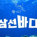 삼선6 이미지