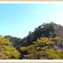 대원1리 마을회관 이미지