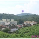 올레길 산림형 1코스 이미지