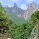 설악산천연보호구역 네이버블로그