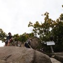 벽운동천 이미지