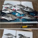 낚시인의 집 이미지