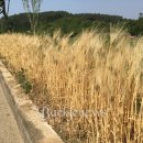 황금2경로당 이미지