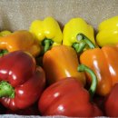 장파농장 이미지